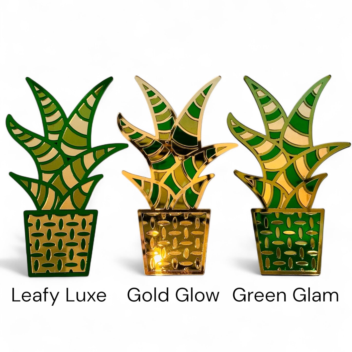 "Plant One On Me" Acrylic snake plant